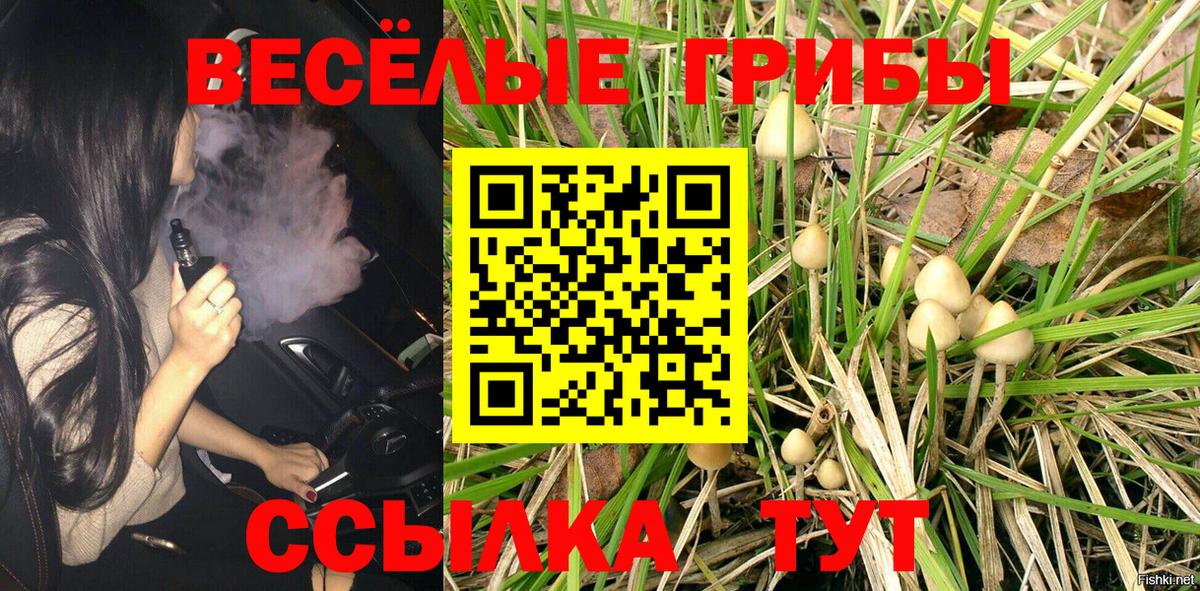 Псилоцибиновые грибы MAGIC MUSHROOMS Вышний Волочёк