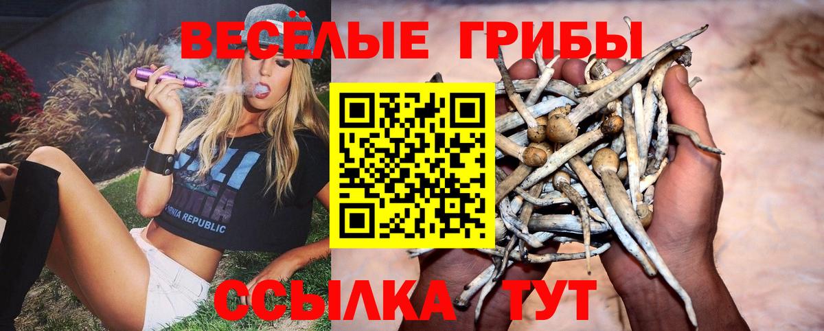 Вышний Волочёк  Галлюциногенные грибы Psilocybe  Вход с VPN  Псилоцибиновые грибы мицелий 